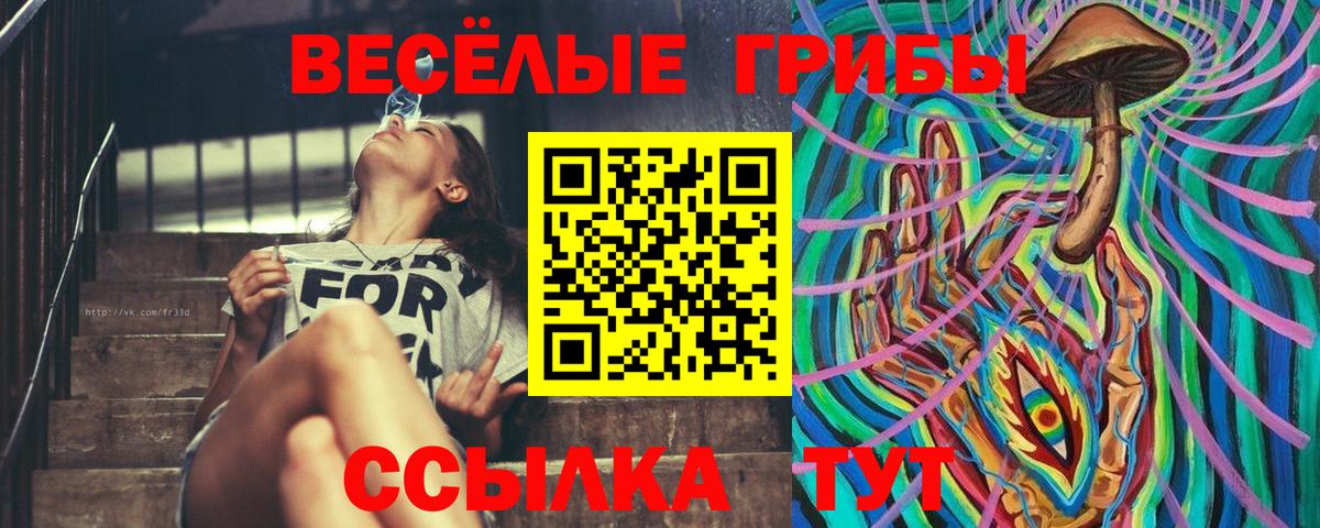 Псилоцибиновые грибы GOLDEN TEACHER  Вход с VPN  Галлюциногенные грибы Psilocybe  Нефтекамск 